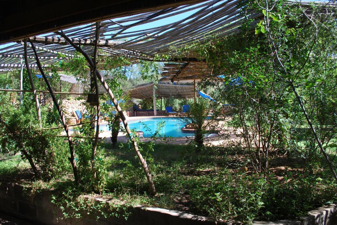 Vleirivier Amber Lagoon Backpackers Lodge מראה חיצוני תמונה