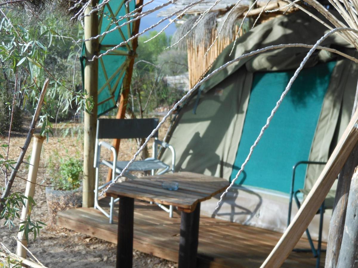 Vleirivier Amber Lagoon Backpackers Lodge מראה חיצוני תמונה