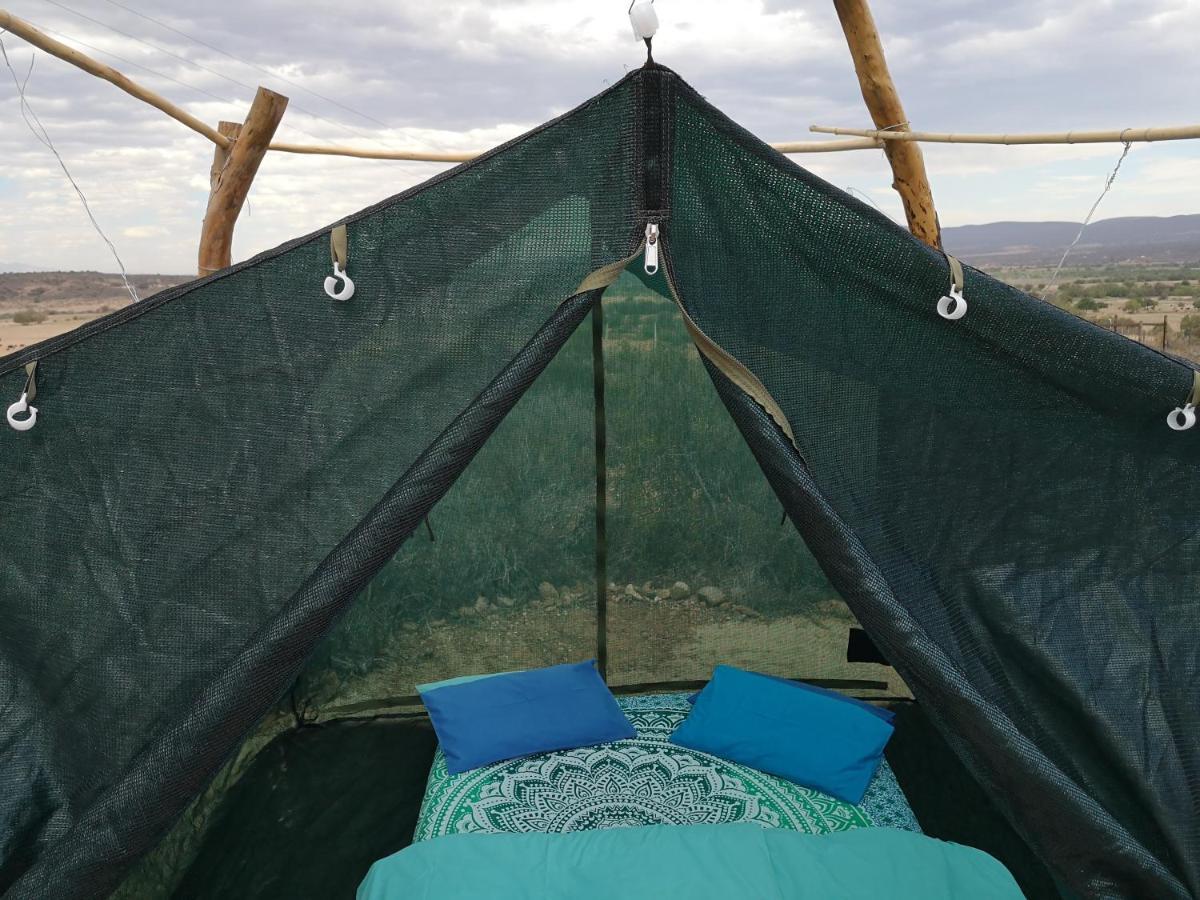 Vleirivier Amber Lagoon Backpackers Lodge מראה חיצוני תמונה