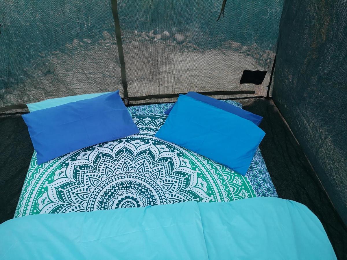 Vleirivier Amber Lagoon Backpackers Lodge מראה חיצוני תמונה