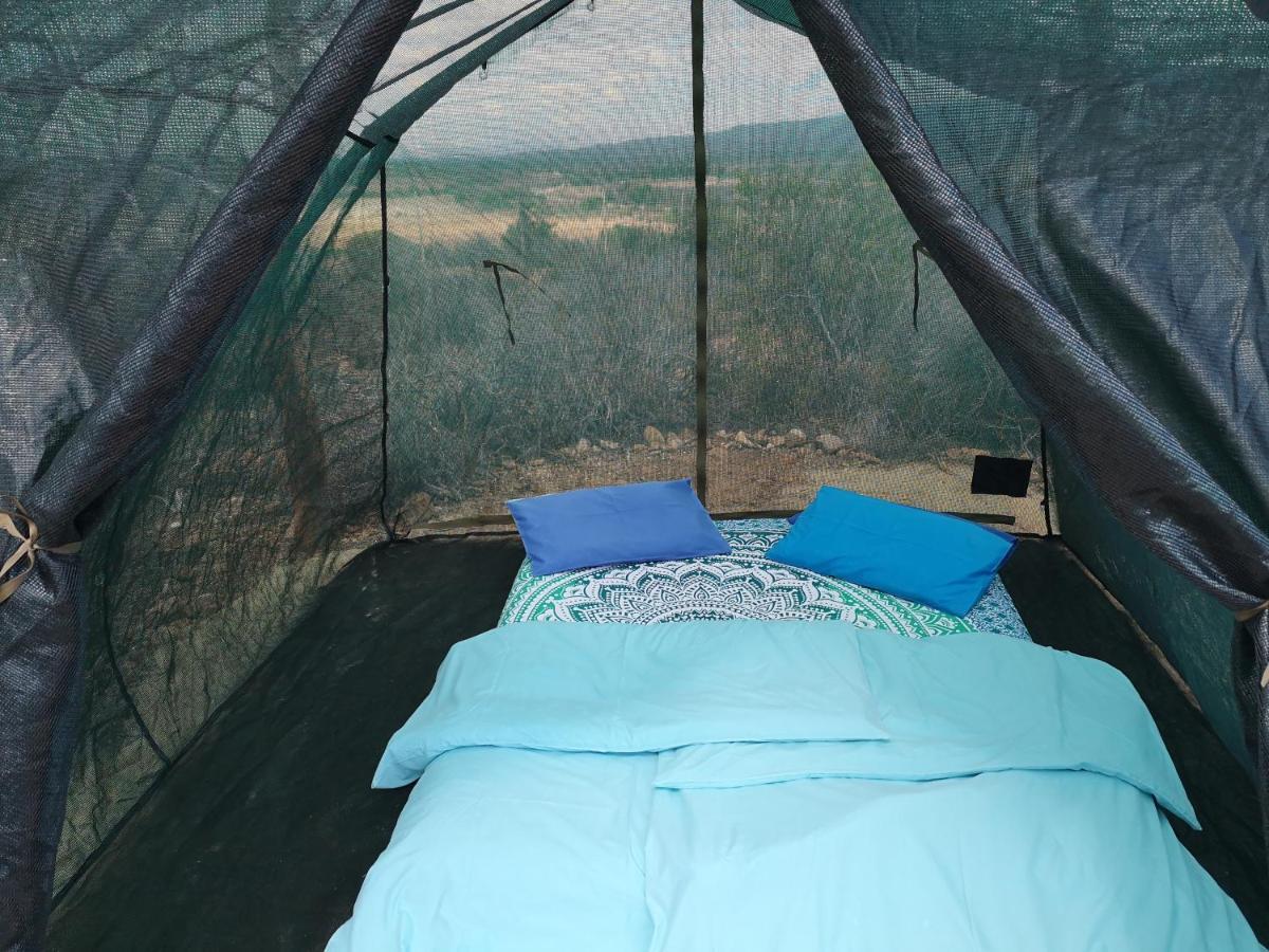 Vleirivier Amber Lagoon Backpackers Lodge מראה חיצוני תמונה