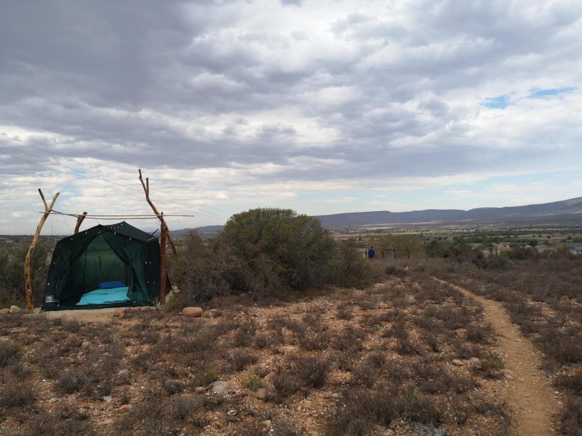 Vleirivier Amber Lagoon Backpackers Lodge מראה חיצוני תמונה