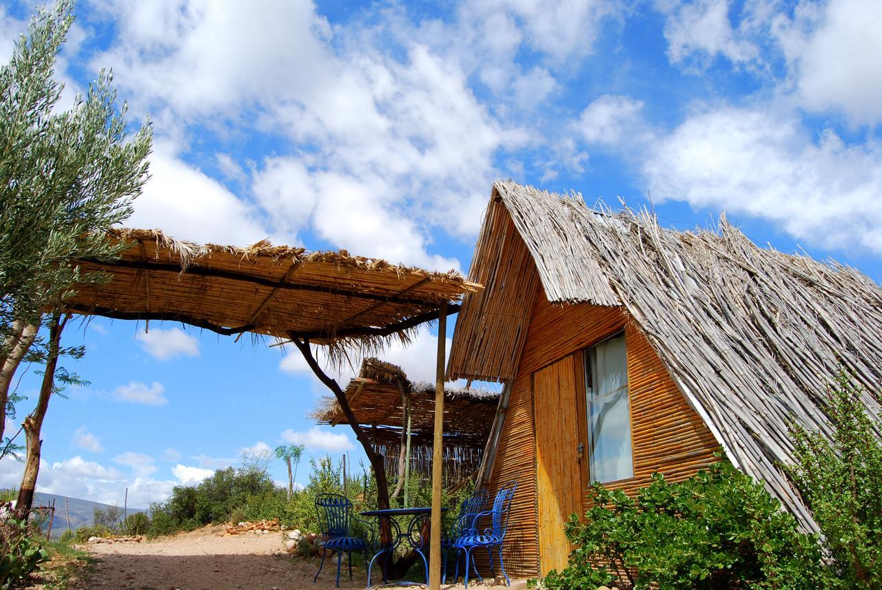 Vleirivier Amber Lagoon Backpackers Lodge מראה חיצוני תמונה