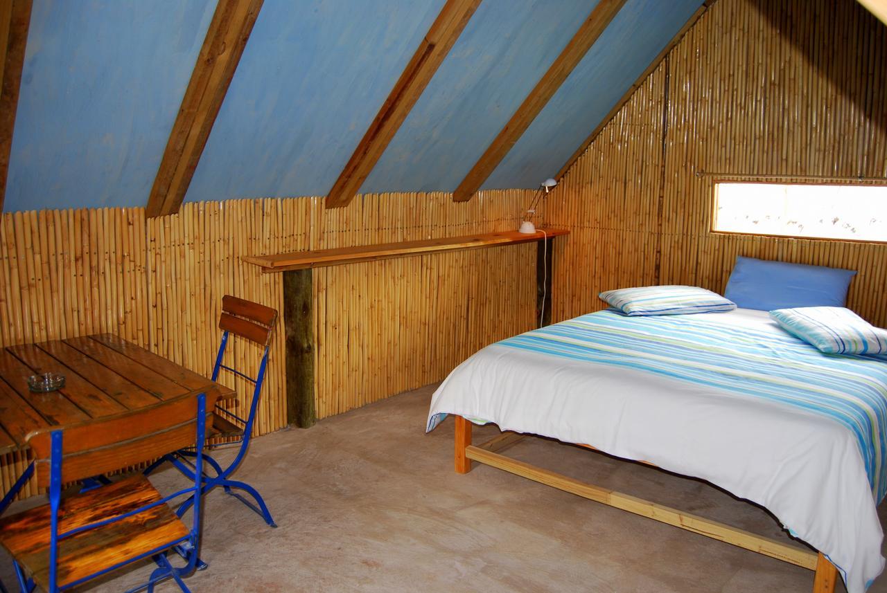 Vleirivier Amber Lagoon Backpackers Lodge מראה חיצוני תמונה